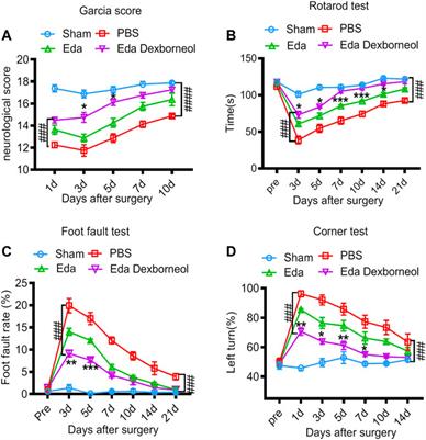 Edaravone Dexborneol Treatment Attenuates Neuronal Apoptosis and Improves Neurological Function by Suppressing 4-HNE-Associated Oxidative Stress After Subarachnoid Hemorrhage